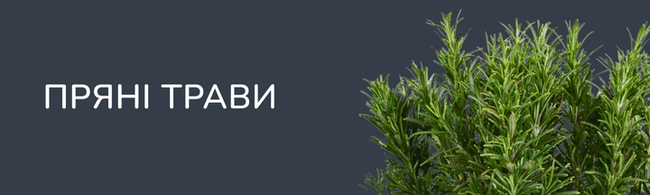 Пряні трави