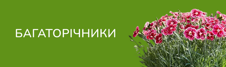Багаторічники